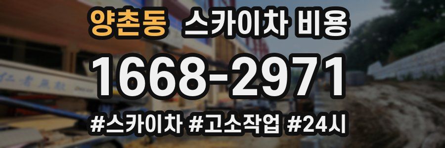 양촌동 스카이차 비용