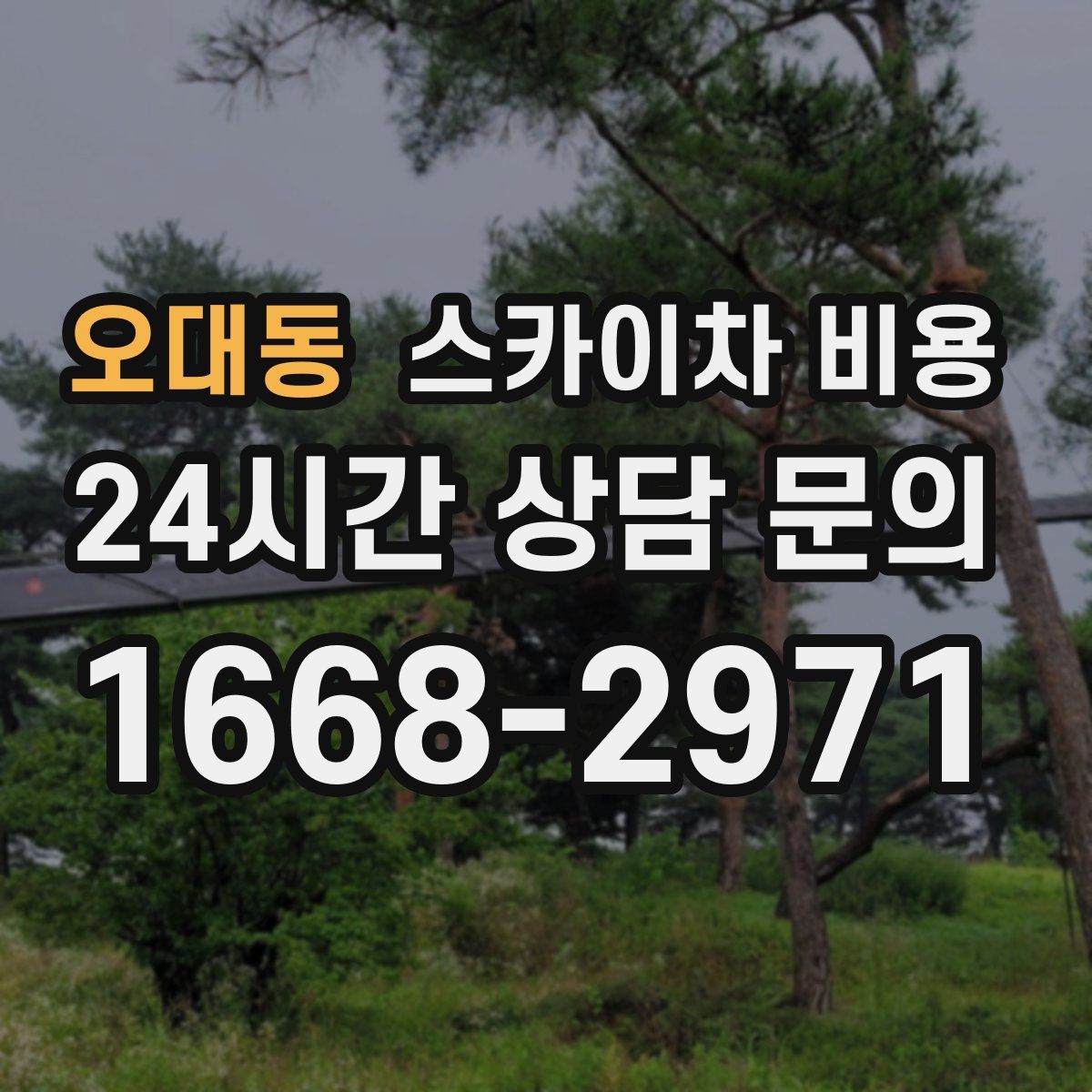 오대동 스카이차 비용