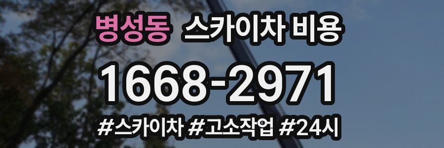 병성동 스카이차 비용