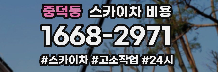 중덕동 스카이차 비용