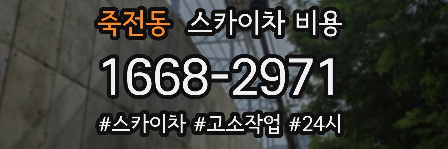 죽전동 스카이차 비용