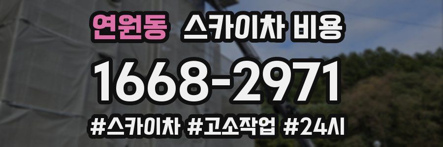 연원동 스카이차 비용