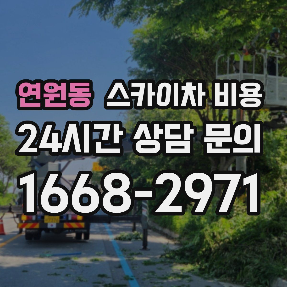 연원동 스카이차 비용