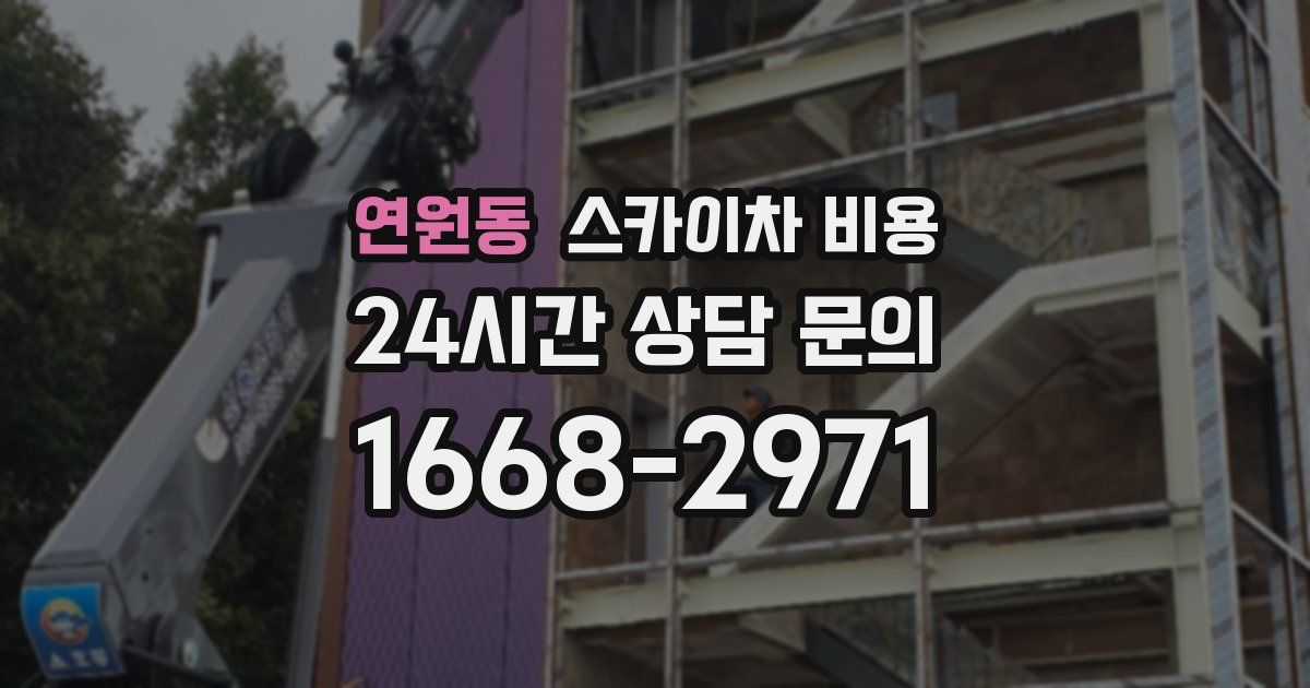 연원동 스카이차 비용