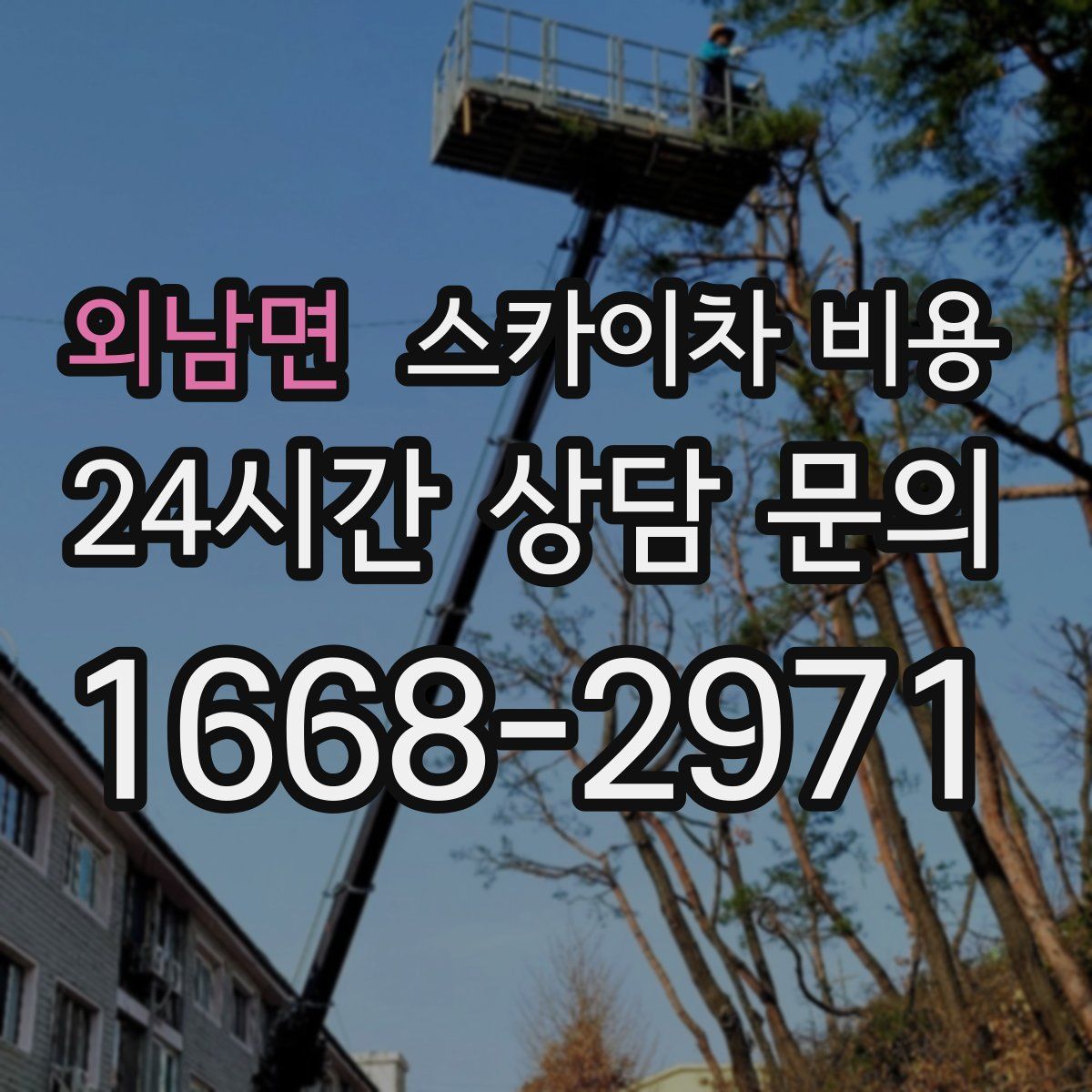 외남면 스카이차 비용