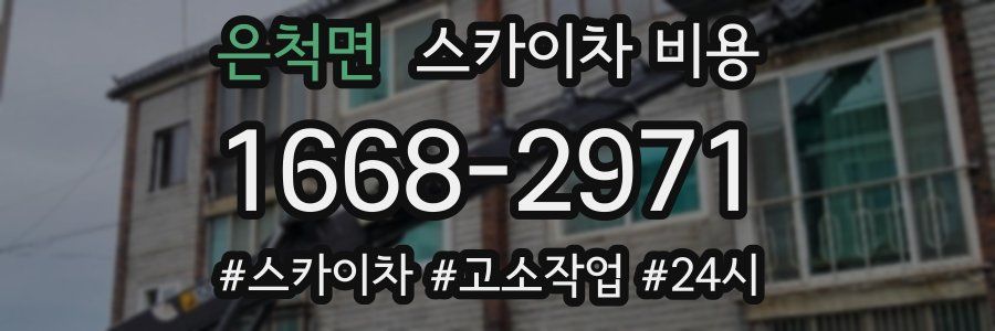 은척면 스카이차 비용