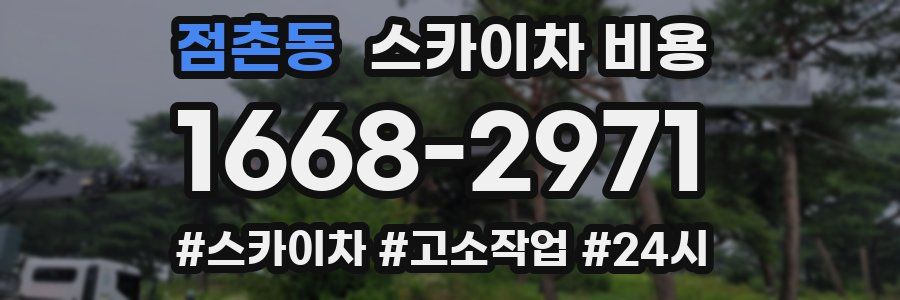 점촌동 스카이차 비용