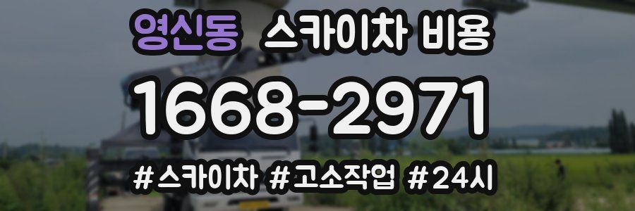 영신동 스카이차 비용