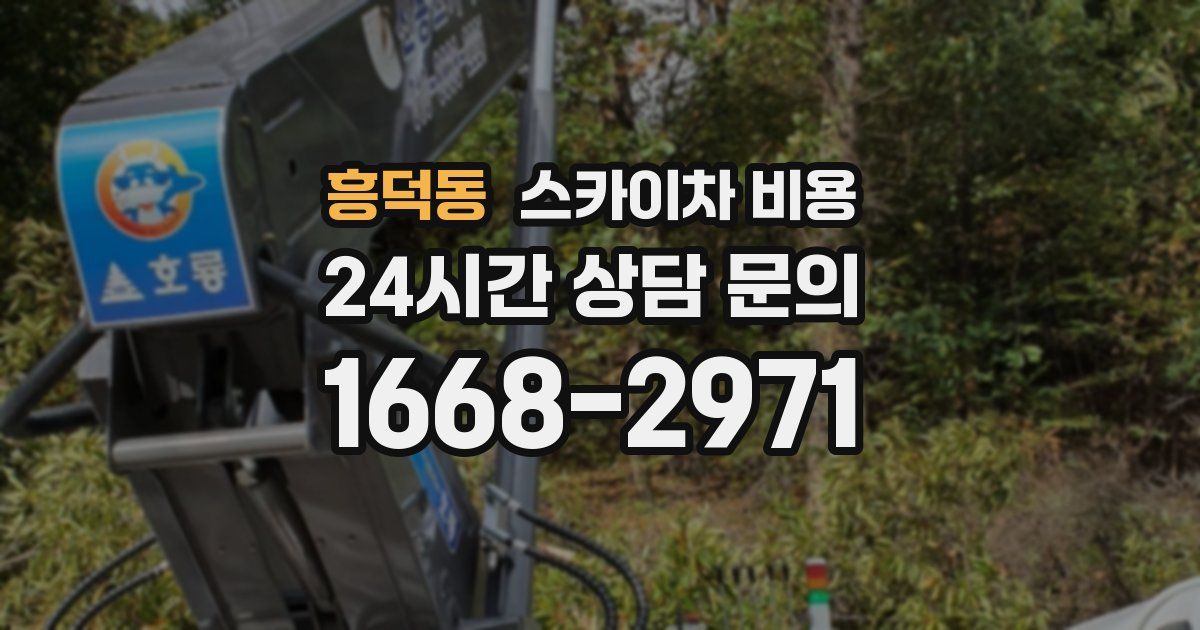 흥덕동 스카이차 비용