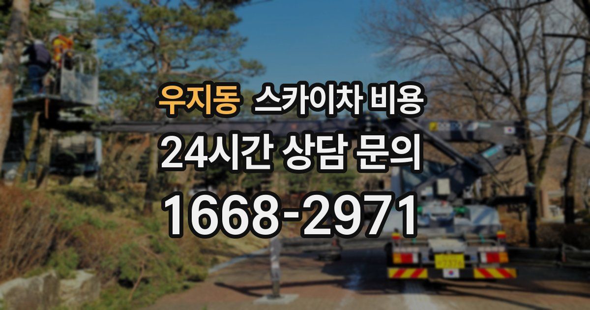 우지동 스카이차 비용