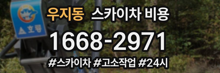 우지동 스카이차 비용