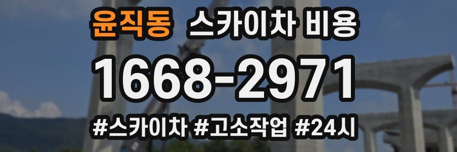 윤직동 스카이차 비용