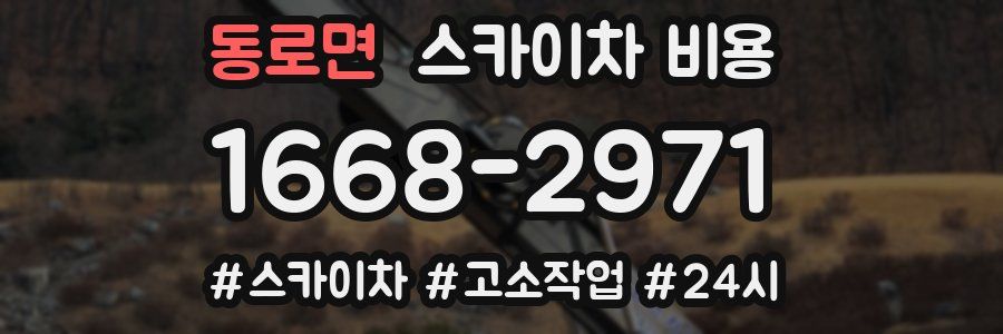 동로면 스카이차 비용