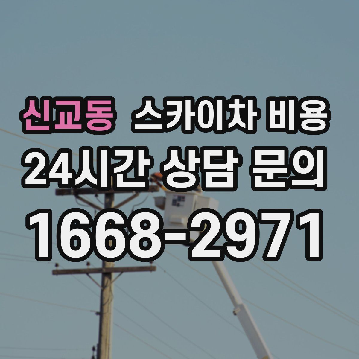 신교동 스카이차 비용