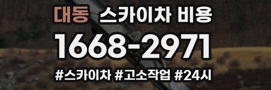 대동 스카이차 비용