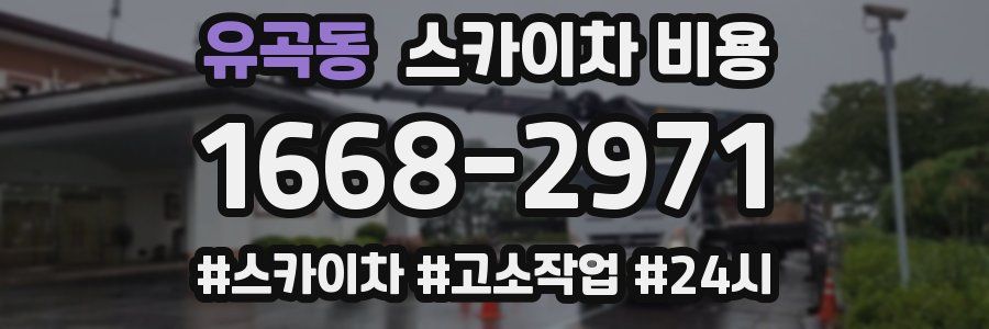 유곡동 스카이차 비용