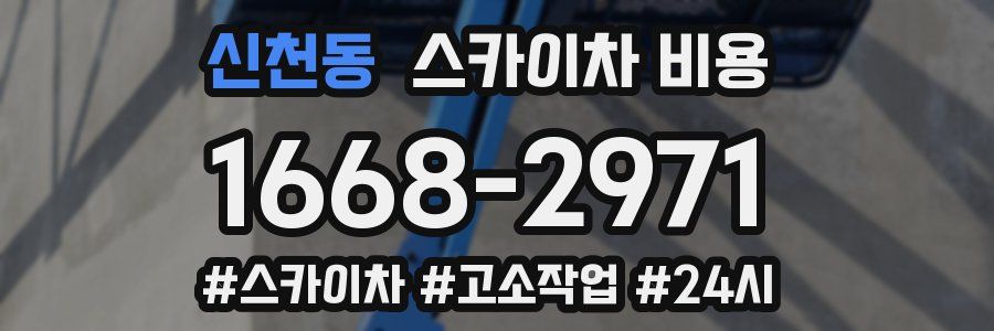 신천동 스카이차 비용