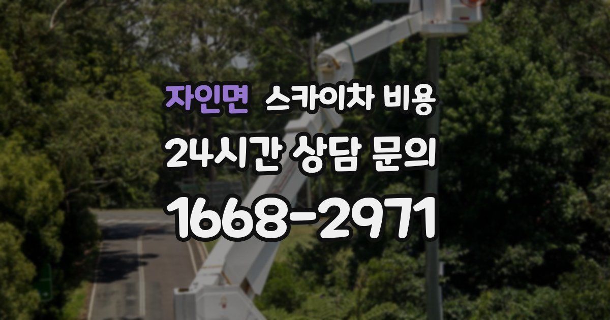 자인면 스카이차 비용