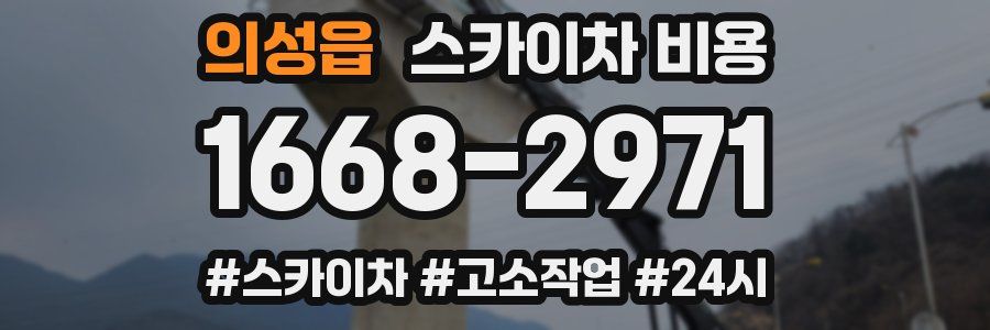 의성읍 스카이차 비용