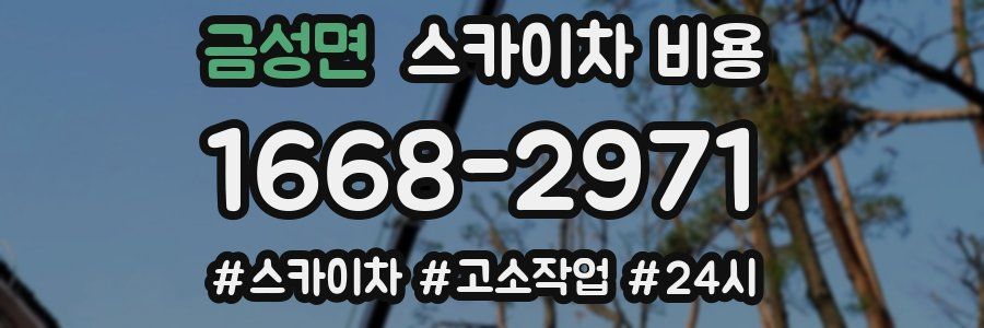 금성면 스카이차 비용