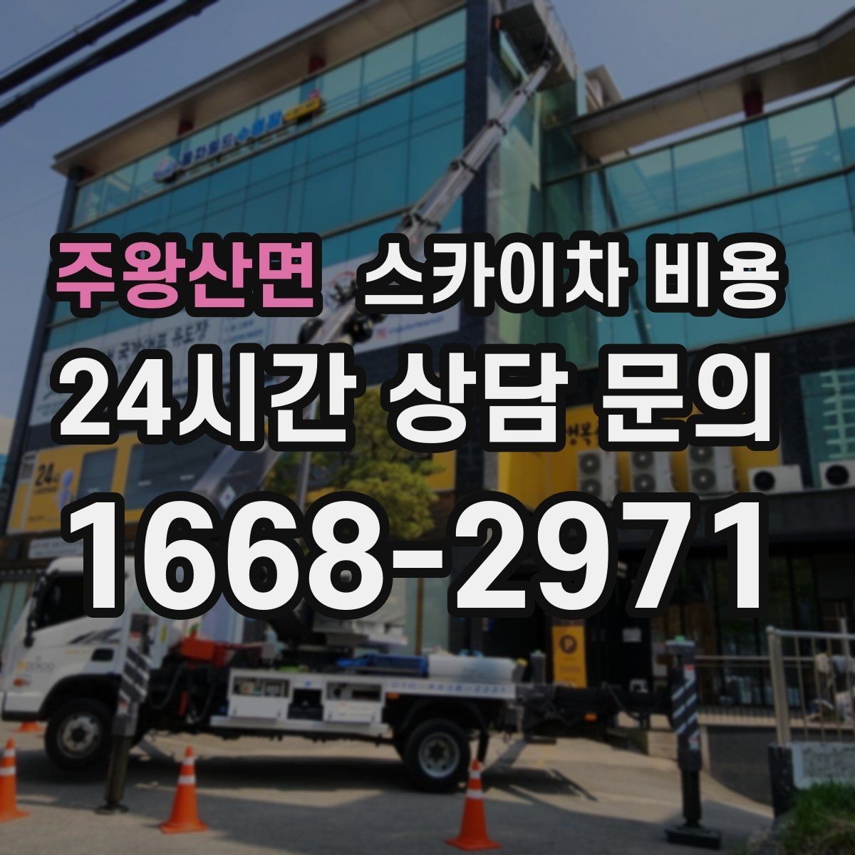 주왕산면 스카이차 비용 수목 전정 비용이 달라지는 요소 정리