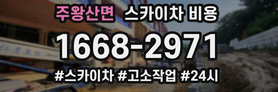 주왕산면 스카이차 비용