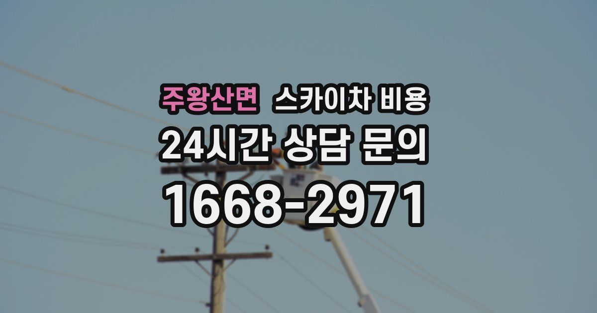 주왕산면 스카이차 비용