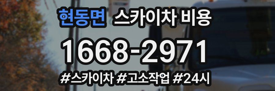 현동면 스카이차 비용