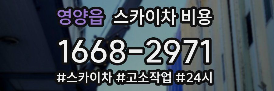 영양읍 스카이차 비용