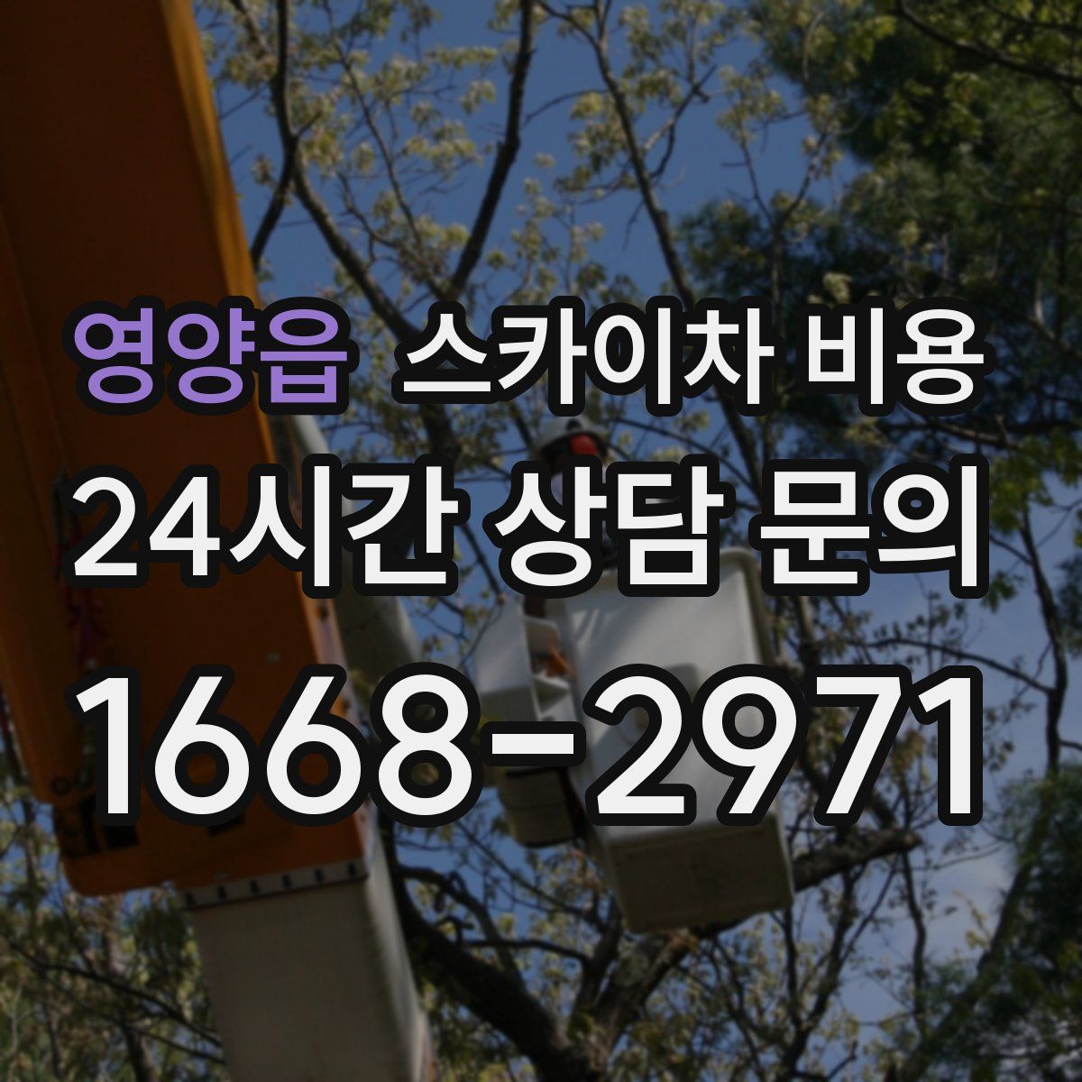 영양읍 스카이차 비용