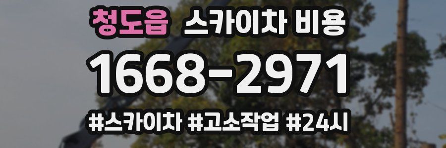 청도읍 스카이차 비용