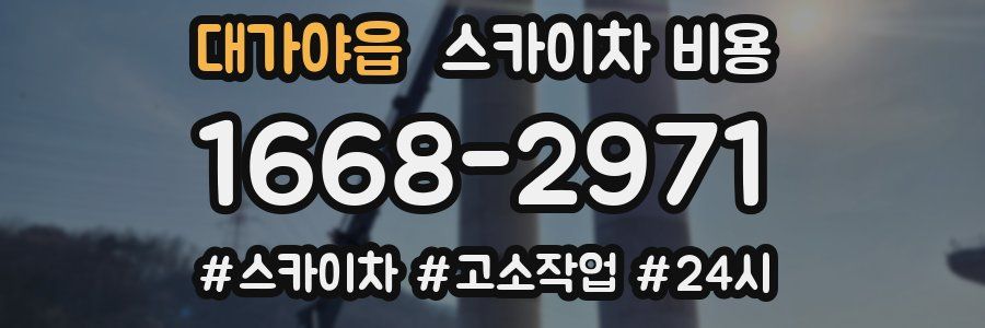 대가야읍 스카이차 비용