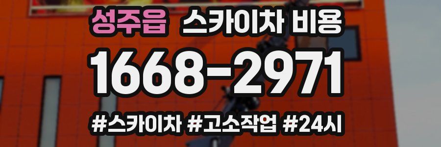 성주읍 스카이차 비용