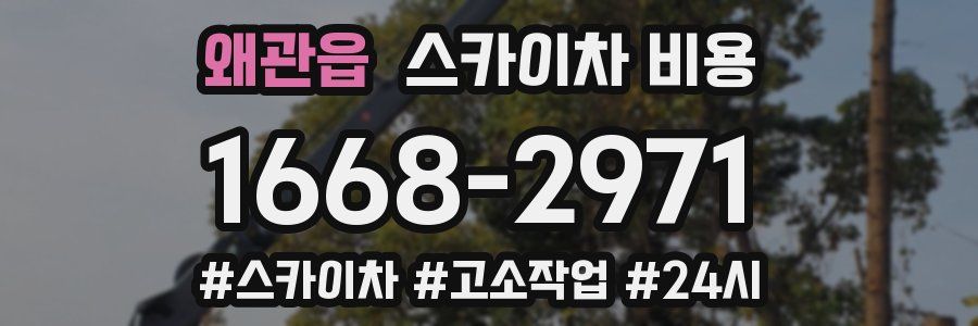 왜관읍 스카이차 비용