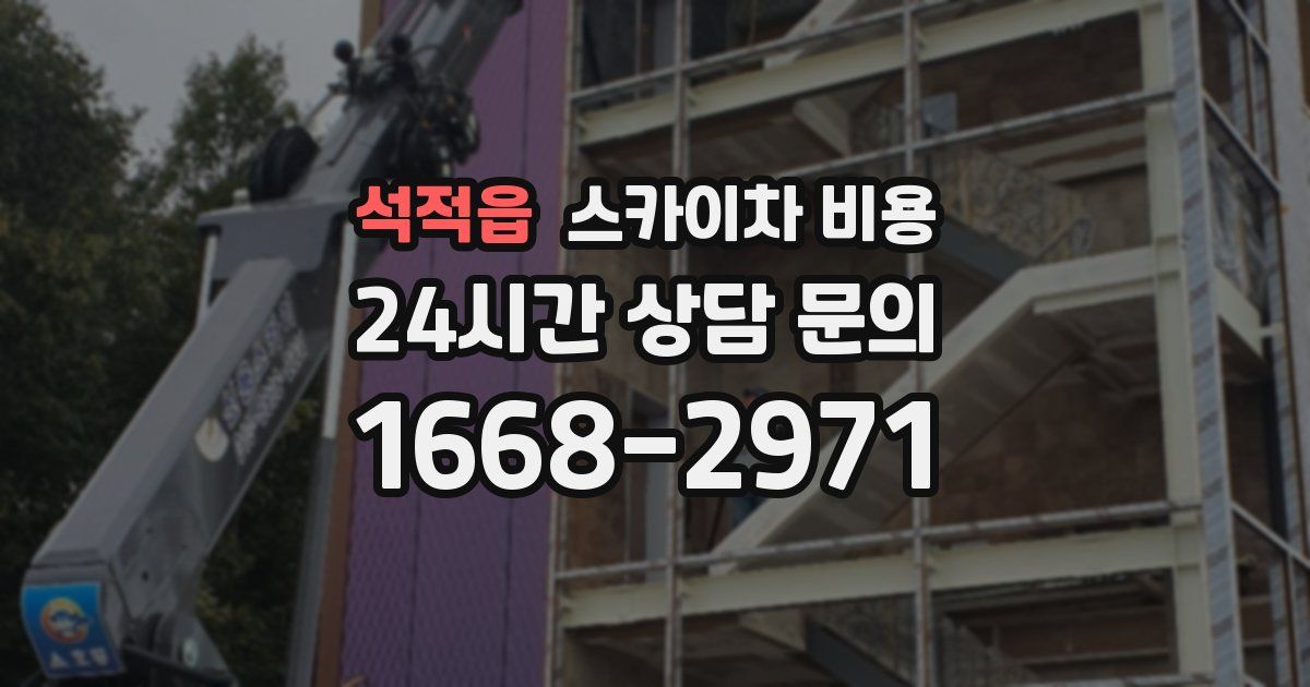 석적읍 스카이차 비용