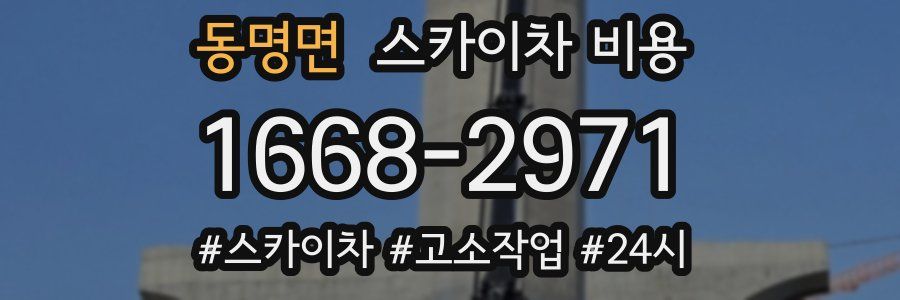 동명면 스카이차 비용