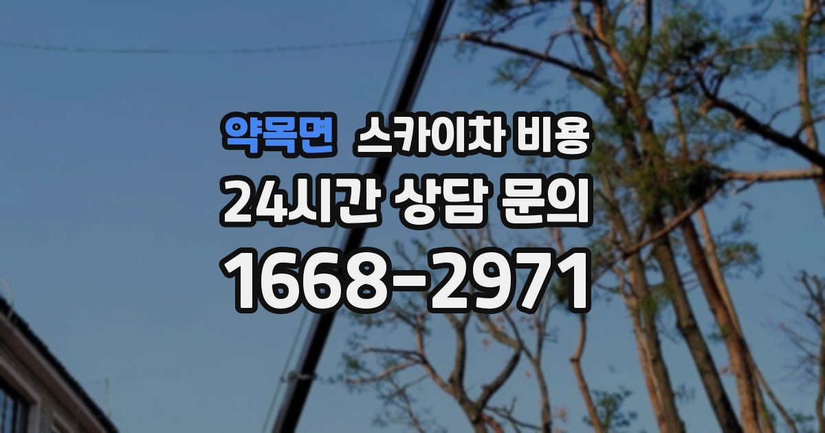 약목면 스카이차 비용