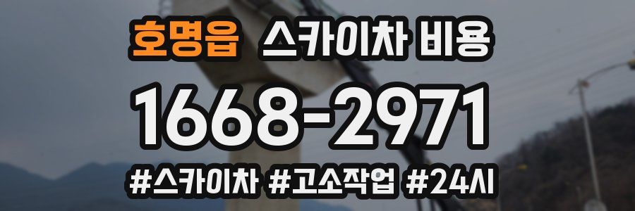 호명읍 스카이차 비용