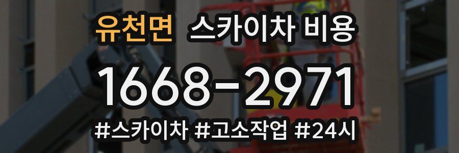 유천면 스카이차 비용