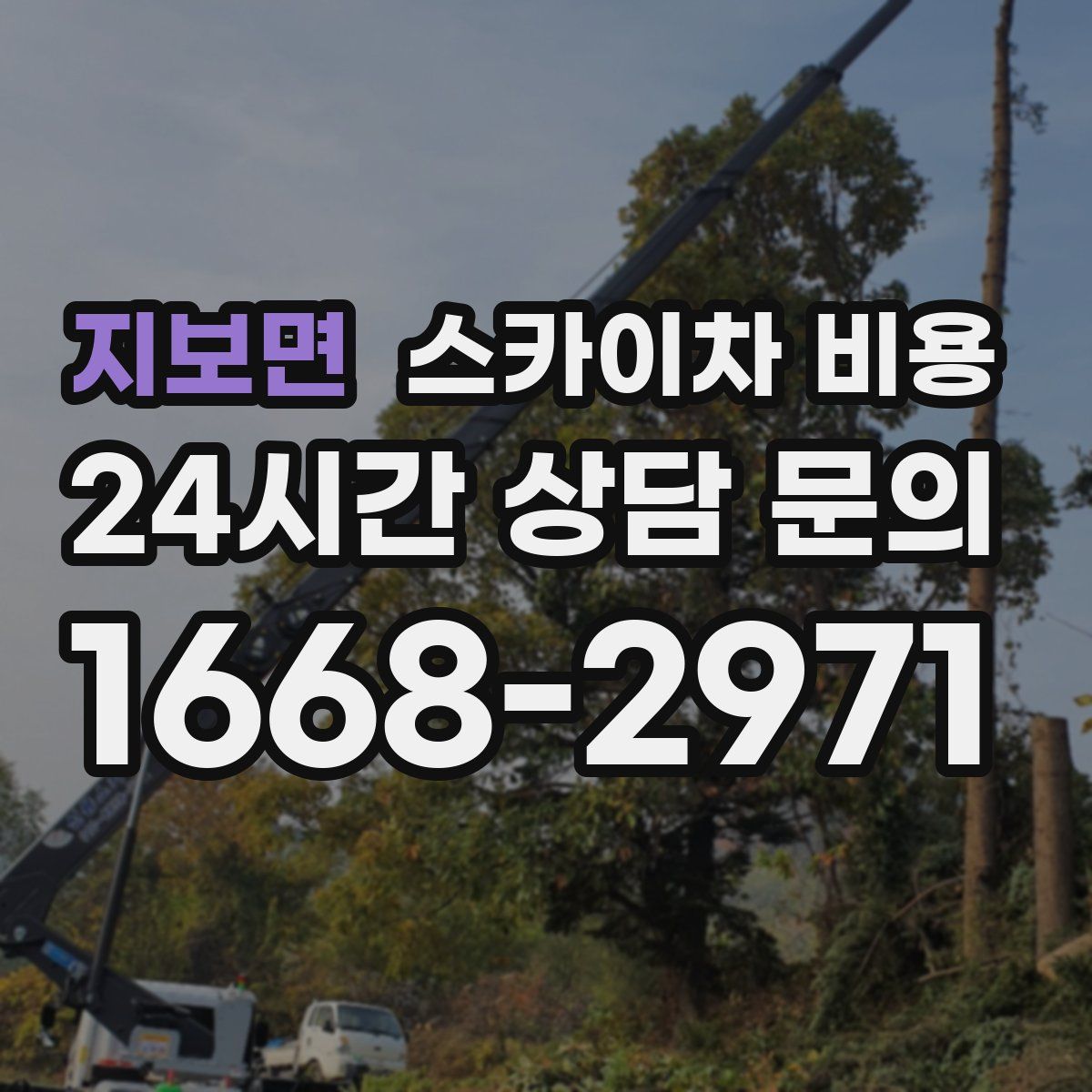 지보면 스카이차 비용