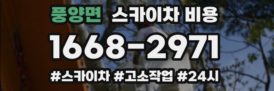 풍양면 스카이차 비용