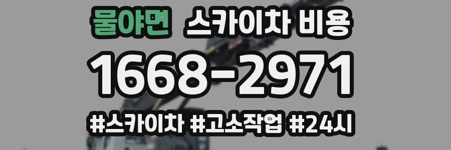 물야면 스카이차 비용