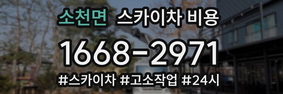 소천면 스카이차 비용