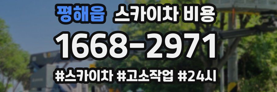 평해읍 스카이차 비용