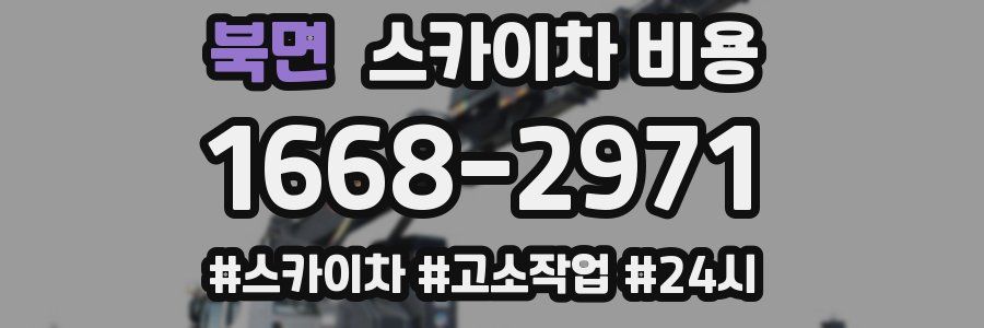 북면 스카이차 비용