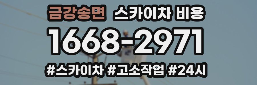 금강송면 스카이차 비용