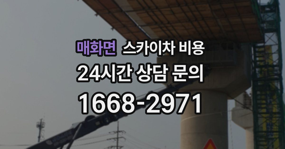 매화면 스카이차 비용