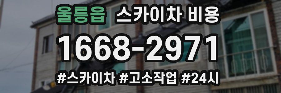 울릉읍 스카이차 비용