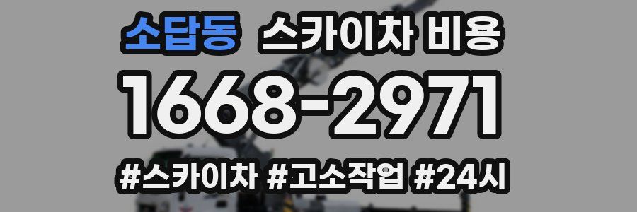 소답동 스카이차 비용
