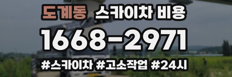도계동 스카이차 비용